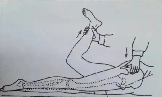 股神經牽拉試驗