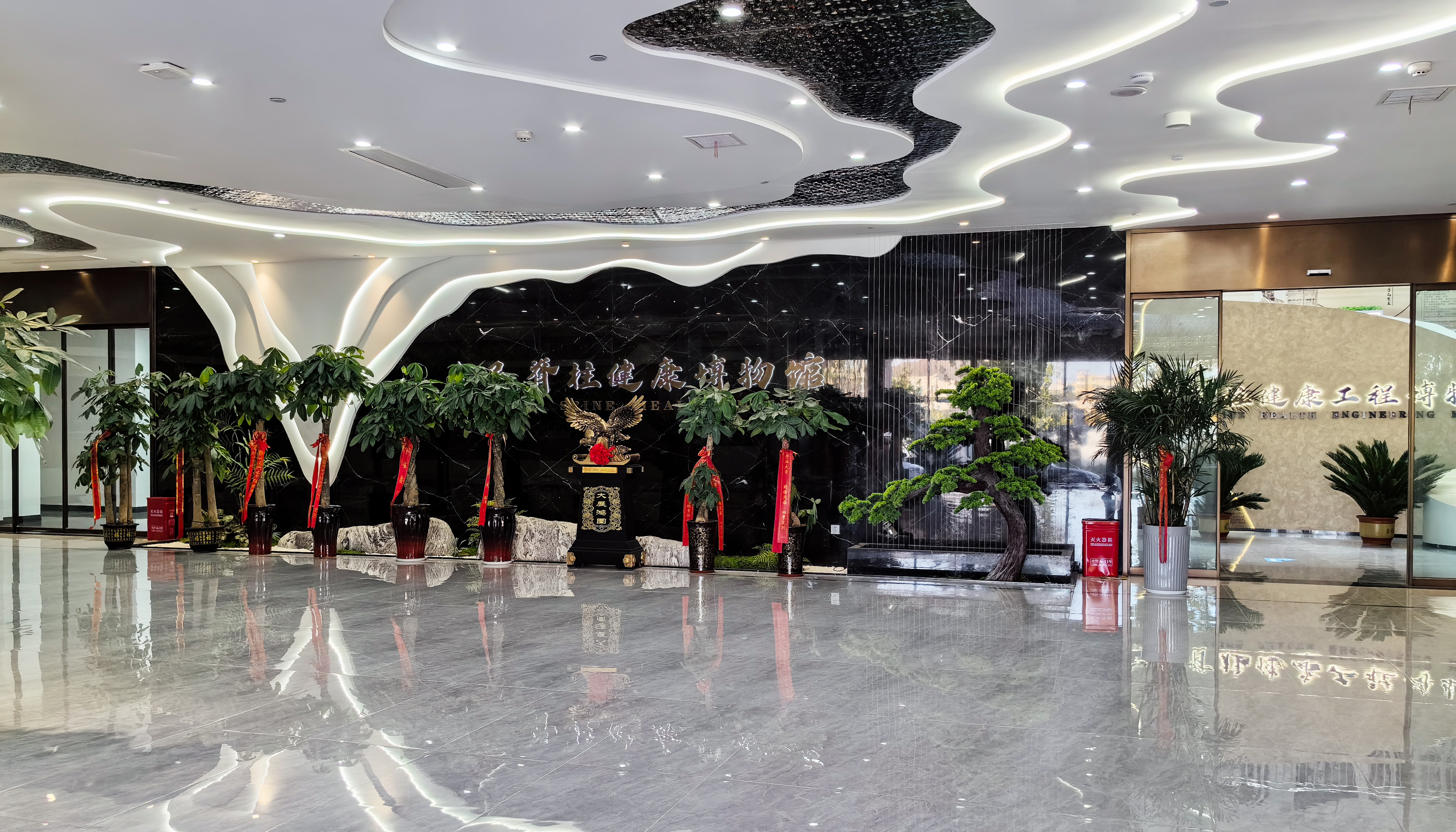 飛龍醫療全民脊柱博物館 飛龍醫療全民脊柱博物館